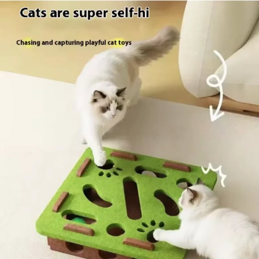 Cat Hunting Puzzle Box Mental Stimulation Toy for Indoor Cats