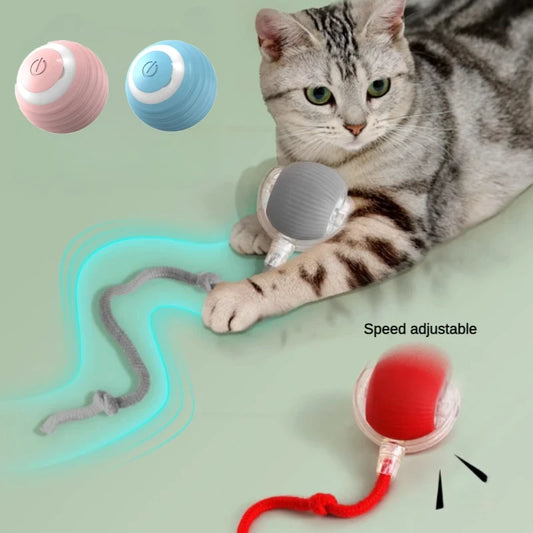 Interactive Rolling Cat Ball Toy – Automatic Motion Activated Cat Toy for Indoor Cats