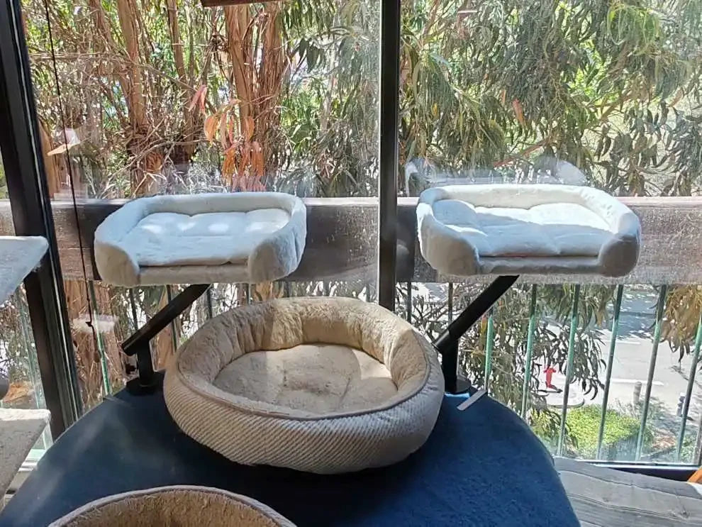 Review Card